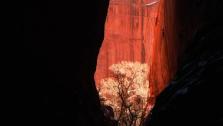 Isolated Slot Canyon