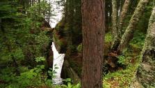 Unplanned Hike Unplanned Hike