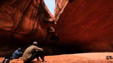 Neon Canyons Golden Cathedral Neon Canyons Golden Cathedral