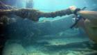 Sunken Treasures