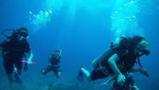 The Wreck of the Rhone