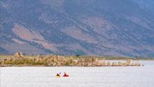 Tuolumne Treasure
