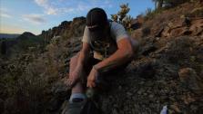 Extra Footage: Cholla Cactus Attack