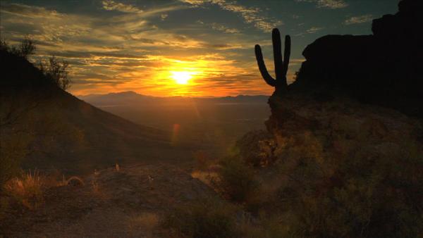 Complete Episode: Saguaro National Park