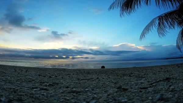 Complete Episode: Exploring the Jungles of Belize