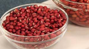 Bean Basics Bean Basics