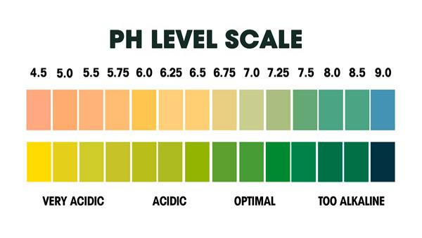 The Alkaline Diet
