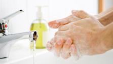 Three Steps to Soft Hands