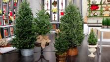 Lynda Reeves Unique Tree Displays Lynda Reeves Unique Tree Displays