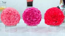 DIY Carnation Spheres with Nia Vardalos DIY Carnation Spheres with Nia Vardalos