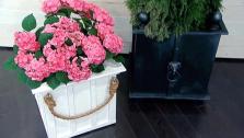 DIY Planters DIY Planters