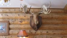 Mountain Comfort Haus for Rent in Breckenridge, Colorado