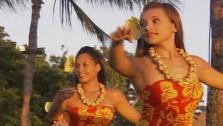 Luau