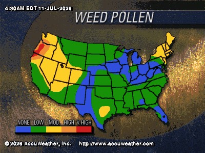 weed