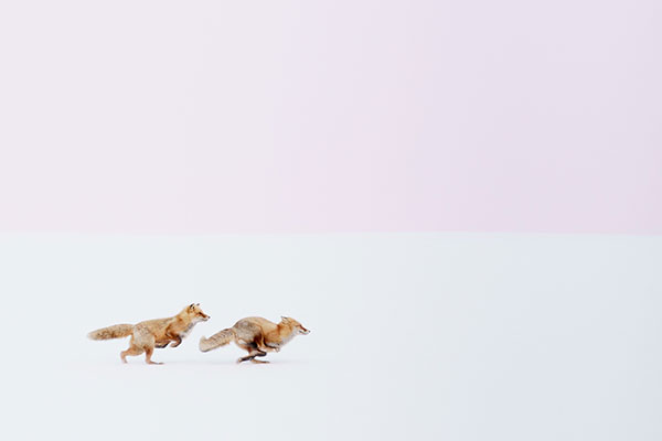 070516natgeo02NatureFirstPlace.jpg