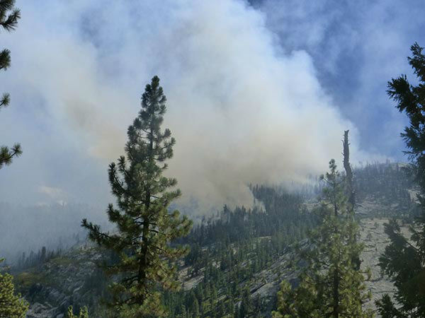 Meadow fire in Yosemite grows to 4,434 acres | abc30.com