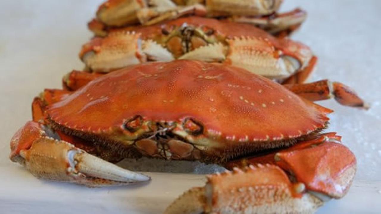 Officials hopeful about toxin-free Dungeness crab season | abc7news.com