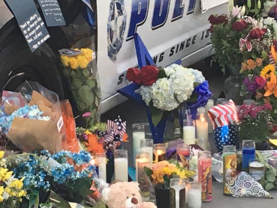 PHOTOS: Memorial grows for fallen Dallas officers | abc7news.com