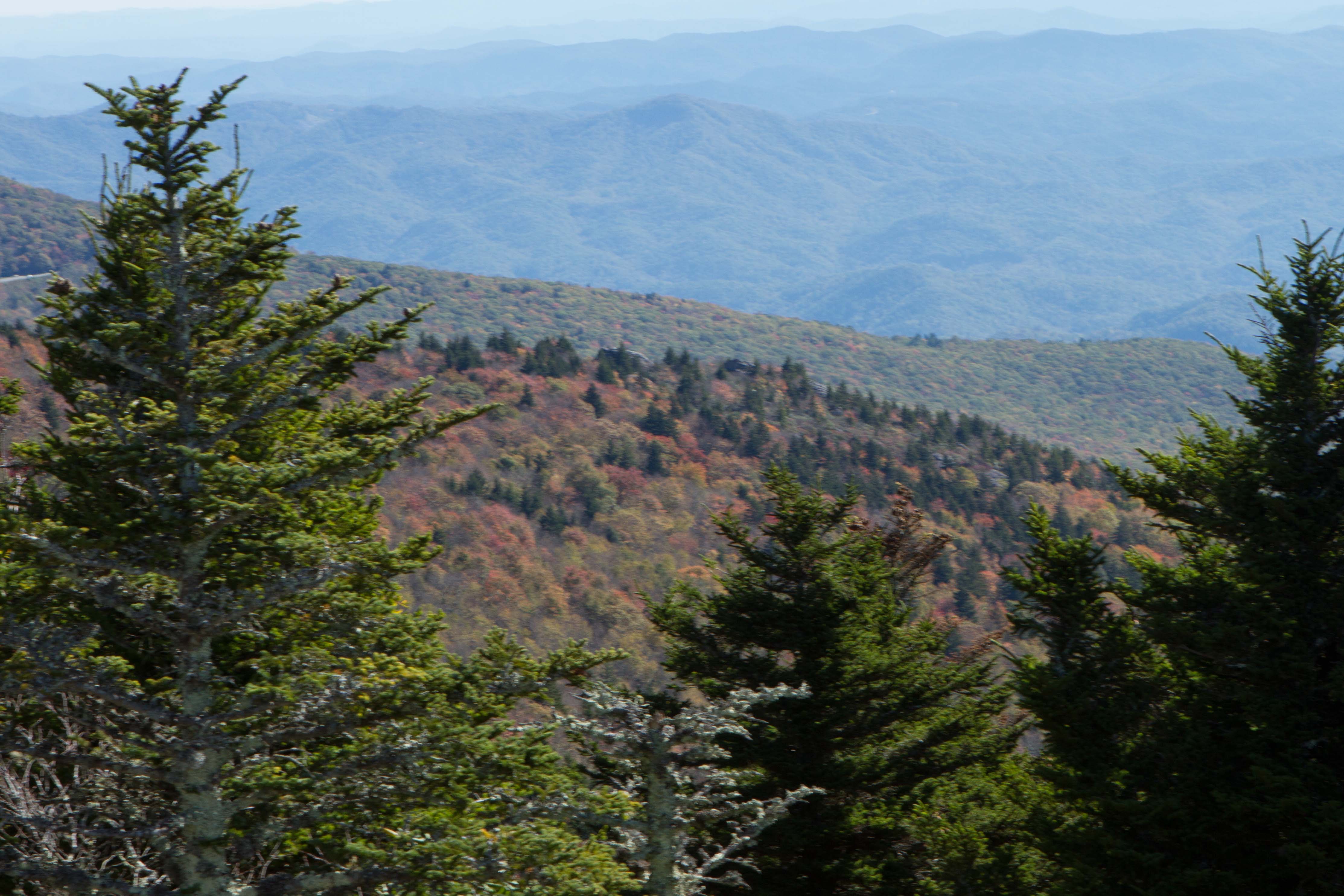 PHOTOS: Grandfather Mountain and Blue Ridge Parkway fall leaves on ...