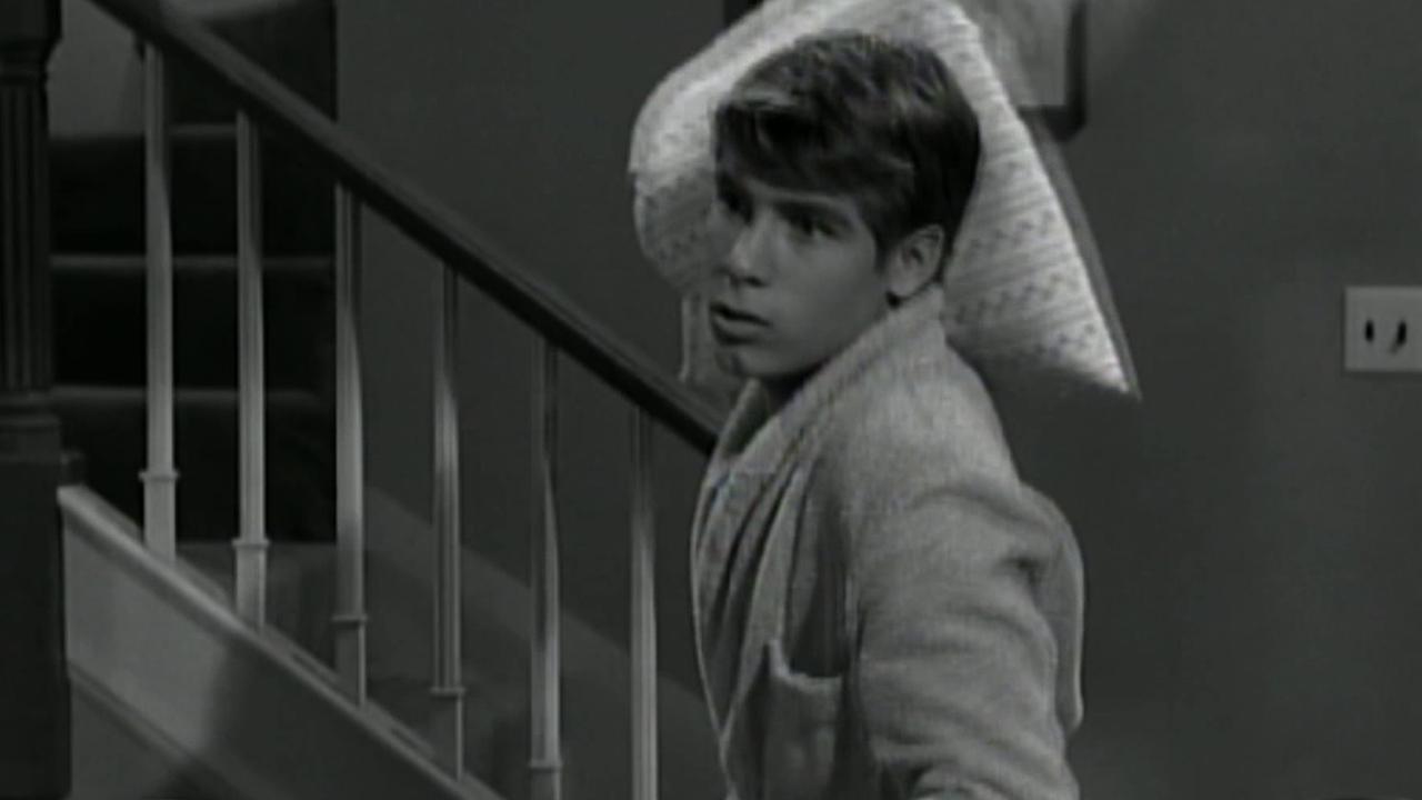 Don Grady, 'My Three Sons' actor, dies at 68 | abc7.com